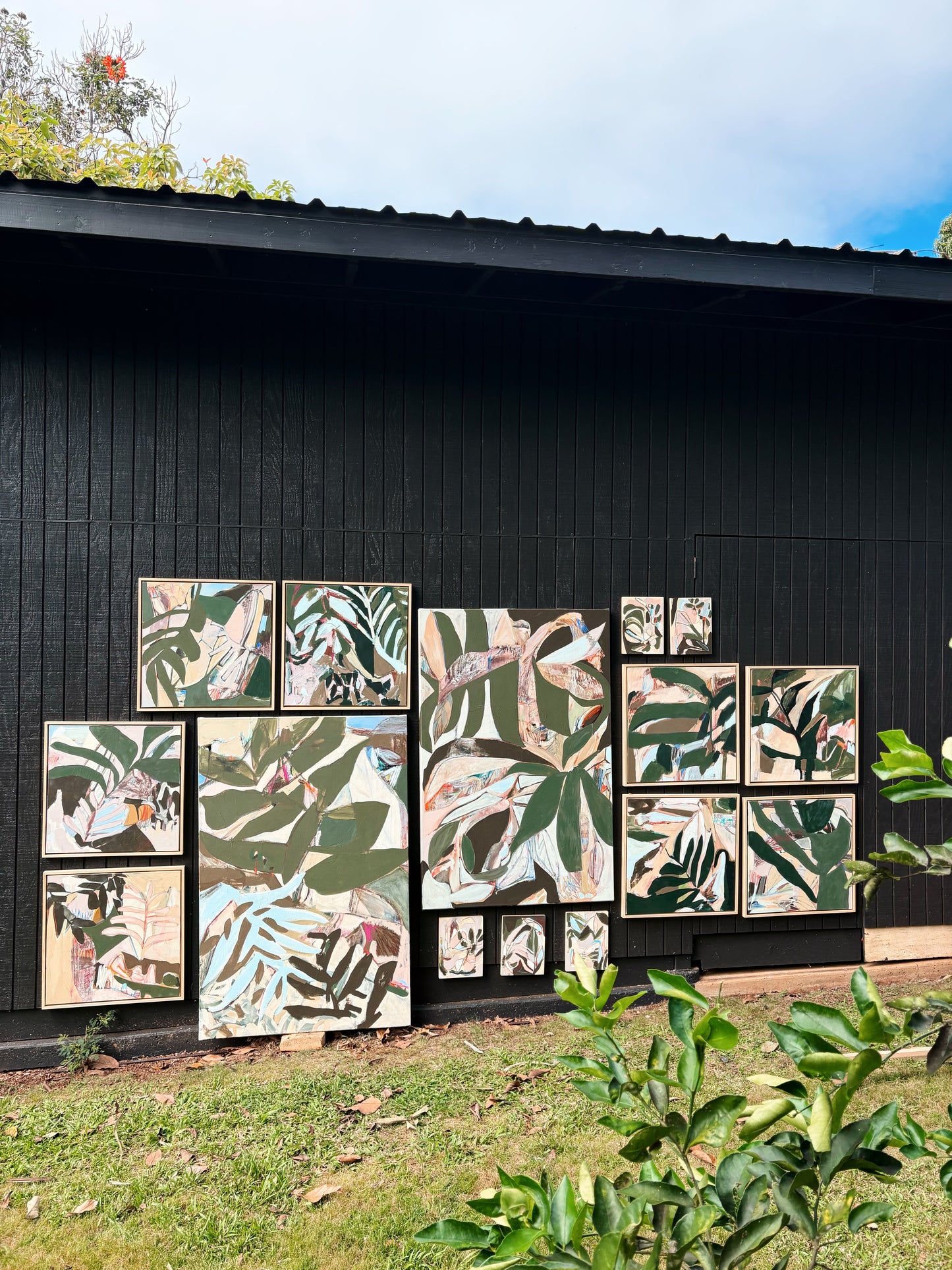 Collection of framed botanical artworks on a black wall outdoors.